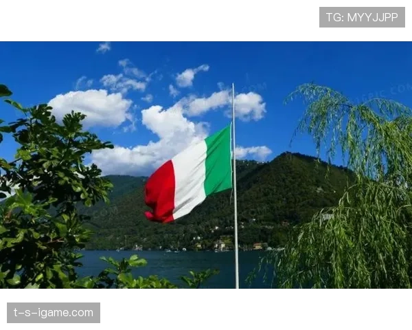 匈牙利球迷红白绿